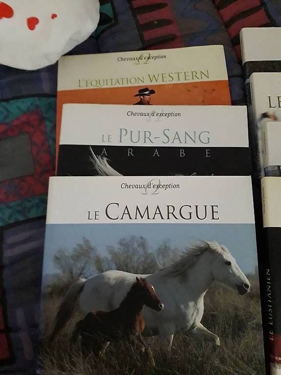 Livres: livre sur les cheveaux – D'occasion à Cheseaux-sur-Lausanne par riopacha 1